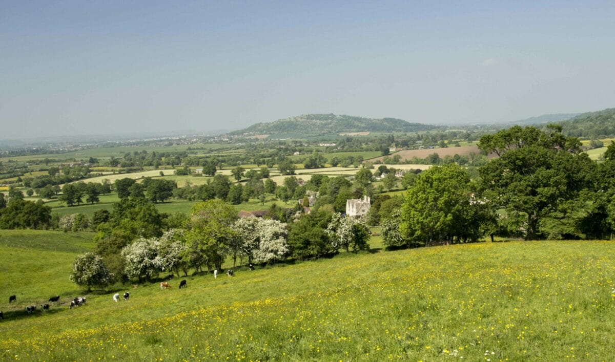 Things to do Hayes Farm